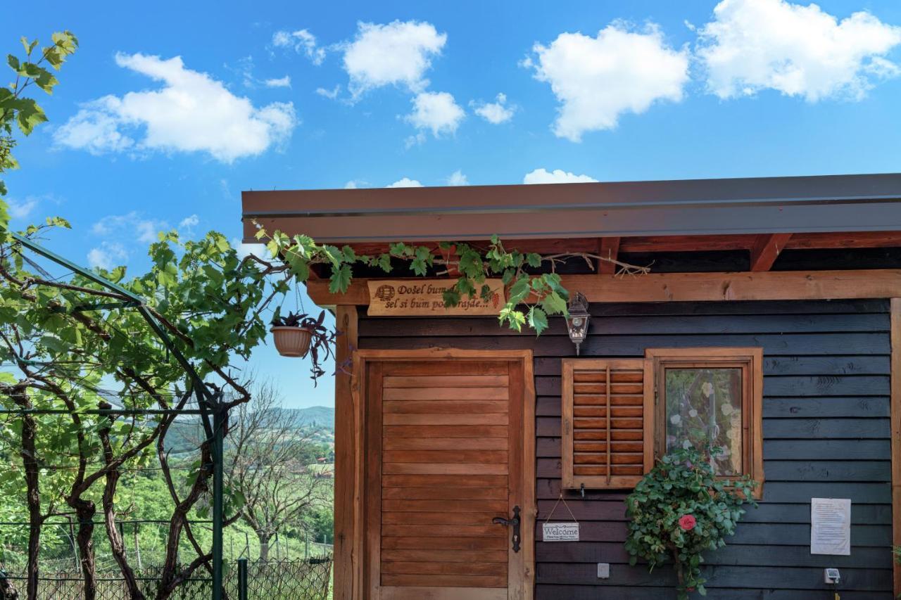 Kuca Za Odmor Rukova Hiza Villa Donja Stubica Dış mekan fotoğraf